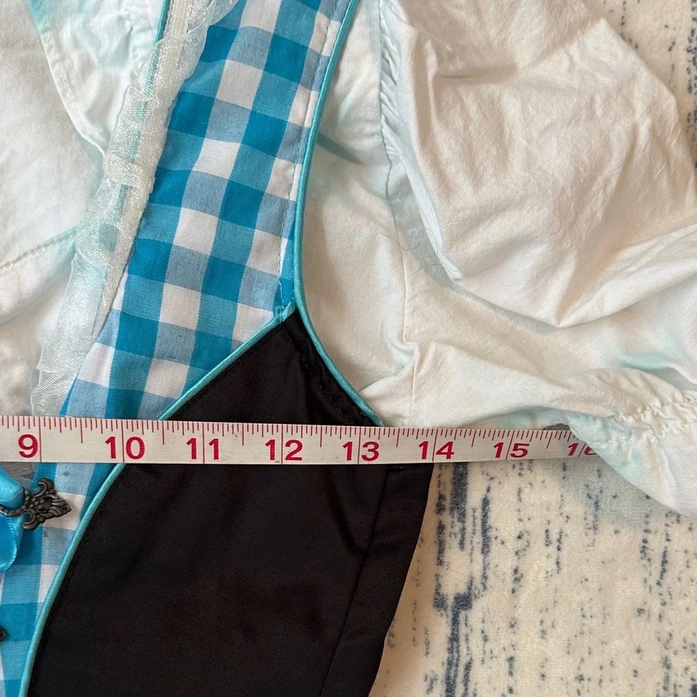 Oktoberfest Blue Gingham Kid or XS adult Costume Dress with Ruffled Blouse